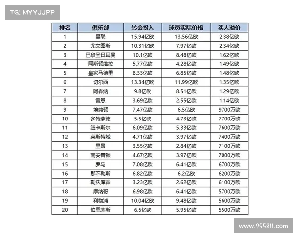 足球俱乐部引援资金投入分析及其对球队竞争力的影响 足球俱乐部引援资金投入分析及其对球队竞争力的影响