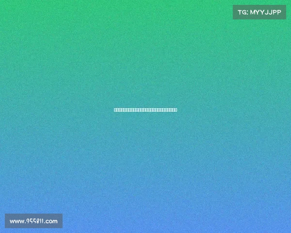 迪马济奥透露罗马未能满足狼队对法比奥席尔瓦的高价要求